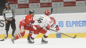 Hokej požádal vládu o umožnění tréninků a zápasů extraligy