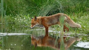Skanzem v Zubrnicích obsadili myslivci