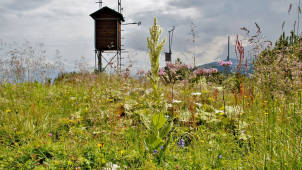 Ústecká univerzita připravila masivní strategický projekt