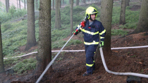 U Prostředního Žlebu na Děčínsku hořel les