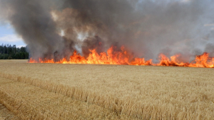 Požárů na polích stále přibývá