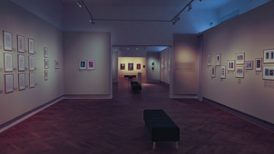 Nové galerijní prostory zdobí díla Josefa Honyse