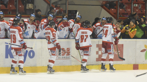 Hokejová extraliga nebude hrát až do 29. března