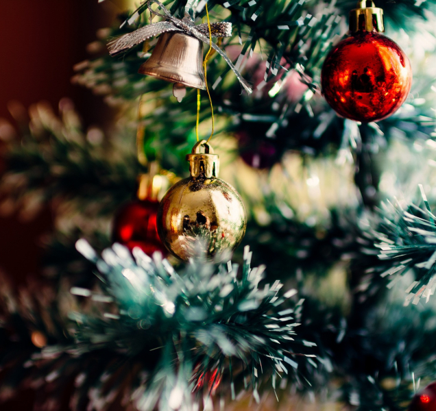 Vánoční stromky opět zamíří do kompostárny