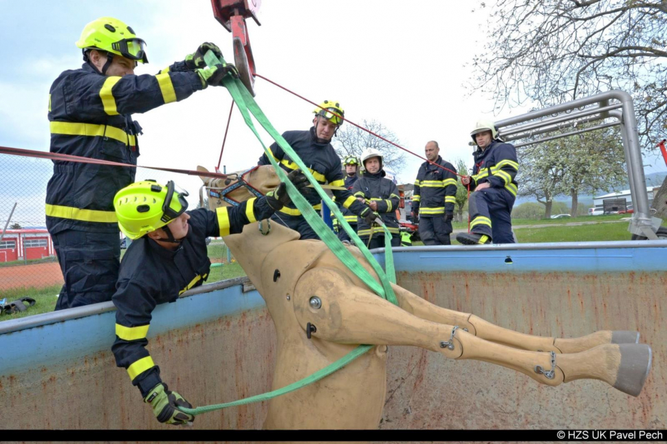 Hasiči z Ústí nacvičovali záchranu koně