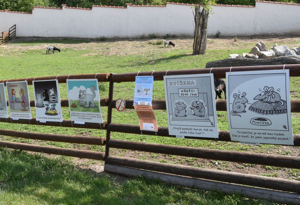 Pavel Kantorek pořádá výstavu v ústecké ZOO