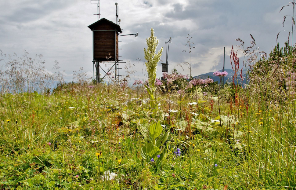 Ústecká univerzita připravila masivní strategický projekt