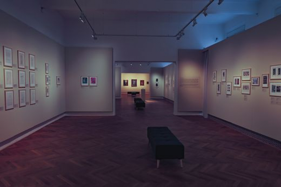 Nové galerijní prostory zdobí díla Josefa Honyse
